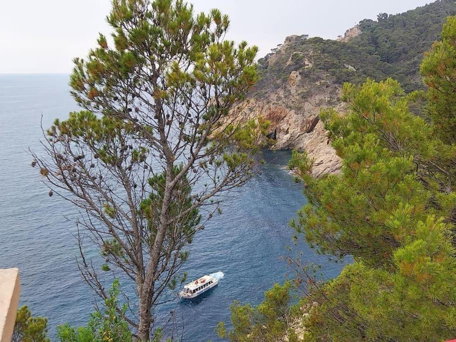 Cala Salions Balandro II Tossa De Mar Apartment Canet De Mar Ngoại thất bức ảnh
