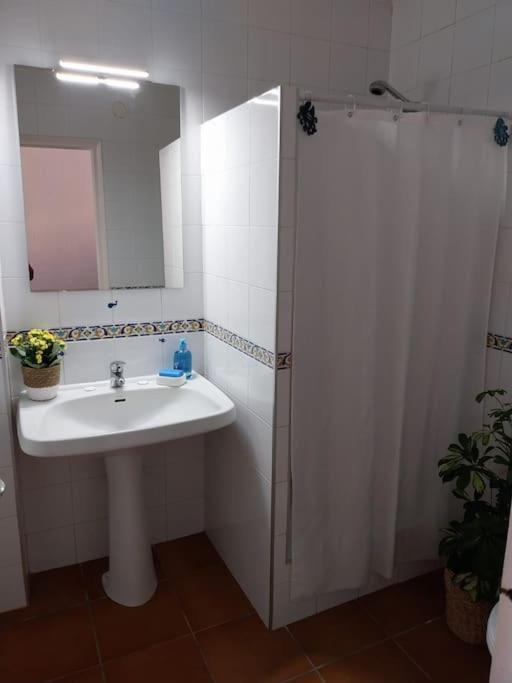 Cala Salions Balandro II Tossa De Mar Apartment Canet De Mar Ngoại thất bức ảnh