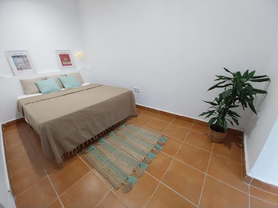 Cala Salions Balandro II Tossa De Mar Apartment Canet De Mar Ngoại thất bức ảnh